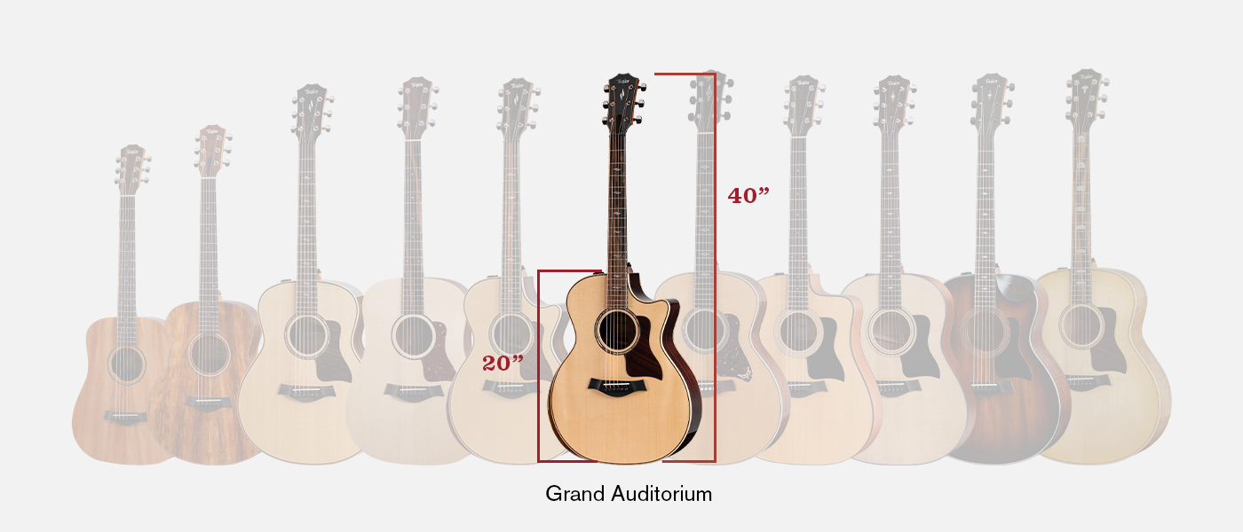Taylor Body Shapes